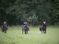 Три мушкетера (2013)