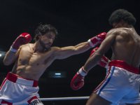 Каменные кулаки (2016)