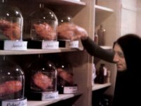 Молодой Франкенштейн (1974)