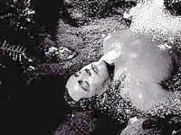 Вторжение похитителей тел (1955)