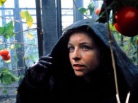 Власть огня (2002)