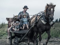 Неизвестный солдат (2017)